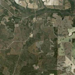 Frink Florida Satellite Map