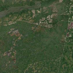 Telogia Florida Satellite Map