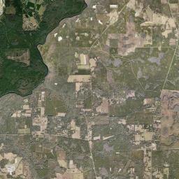 Long Branch Florida Satellite Map