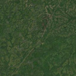 Liberty Florida Satellite Map