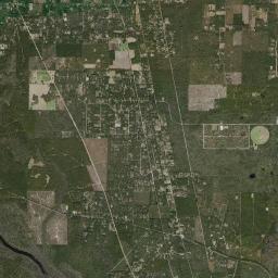 Vereen Florida Satellite Map
