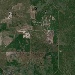 Fanlew Florida Satellite Map