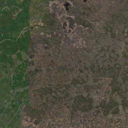 Covington Florida Satellite Map