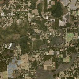 Pine Top Florida Satellite Map