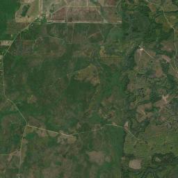 Lewis Florida Satellite Map