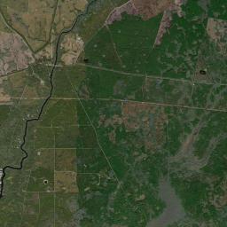 Plum Orchard Florida Satellite Map