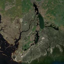 Port Leon Florida Satellite Map