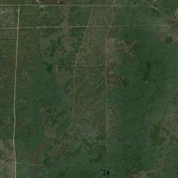 Waylonzo Florida Satellite Map