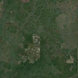 Roach Florida Satellite Map