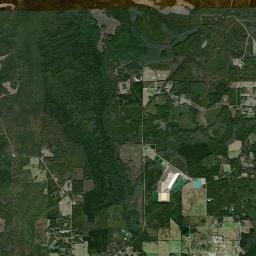 Ellerbee Florida Satellite Map