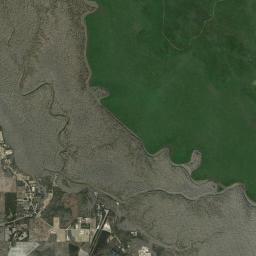 Dalkeith Florida Satellite Map