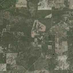 Taylor County Satellite Map