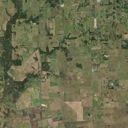 Pine Island Satellite Map