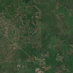 Cooks Hammock Florida Satellite Map