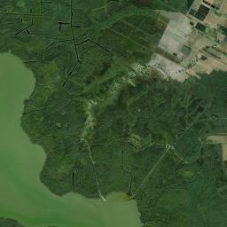 Assumption Parish Satellite Map
