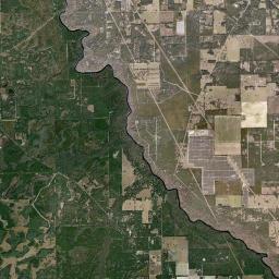 Hollingsworth Bluff Florida Satellite Map