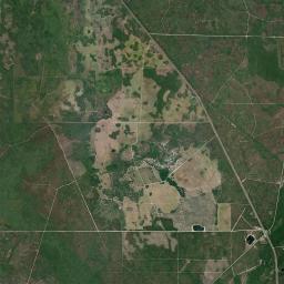 Tennille Florida Satellite Map