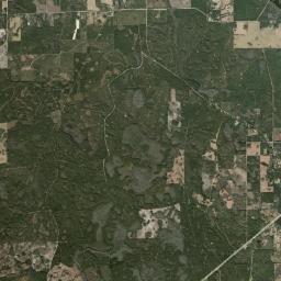 Louise Florida Satellite Map