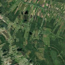 Gray Satellite Map