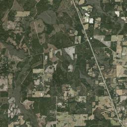 Rex Florida Satellite Map