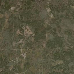 Dixie County Satellite Map