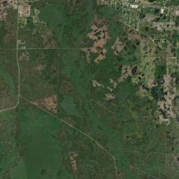 Eugene Florida Satellite Map