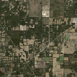 Peach Orchard Florida Satellite Map