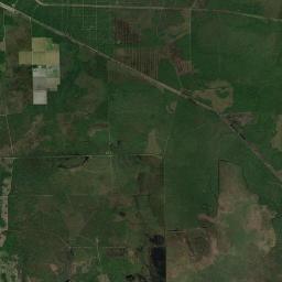 Myrtle Island Florida Satellite Map