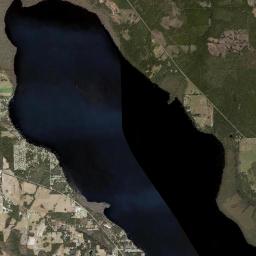 Shell Bluff Florida Satellite Map