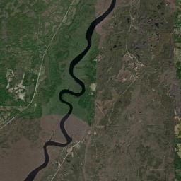 Fowlers Bluff Florida Satellite Map