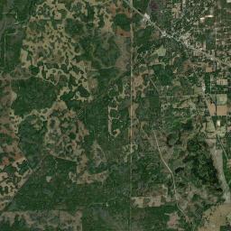 Bronson Florida Satellite Map