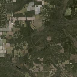 New Run Florida Satellite Map