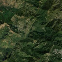 Naini Tal Satellite Map