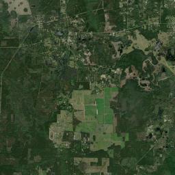 Fort McCoy Florida Satellite Map