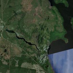 Salt Springs Florida Satellite Map