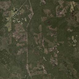 Relay Florida Satellite Map