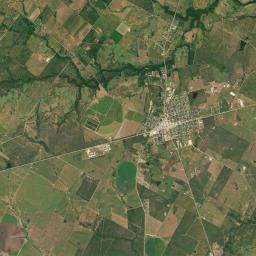 Nixon Satellite Map