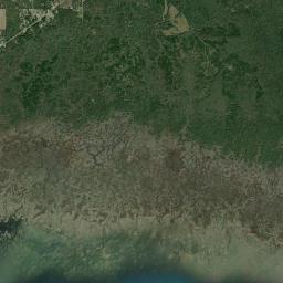 Sumner Florida Satellite Map