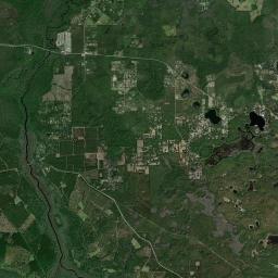 Lynne Florida Satellite Map