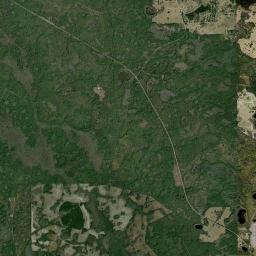 Tidewater Florida Satellite Map