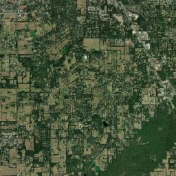 Shady Florida Satellite Map