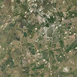 Kenedy Satellite Map