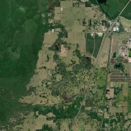 Lake Panasoffkee Florida Satellite Map