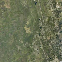 Turnbull Florida Satellite Map