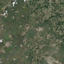 Richha Satellite Map