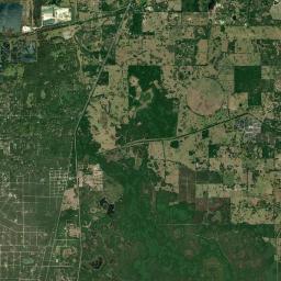 Terrell Florida Satellite Map