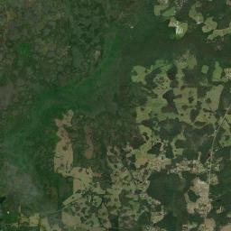 Withla Florida Satellite Map