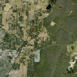 Vitis Florida Satellite Map