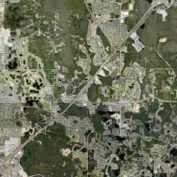 Reunion Florida Satellite Map