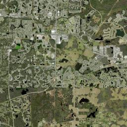Trinity Florida Satellite Map